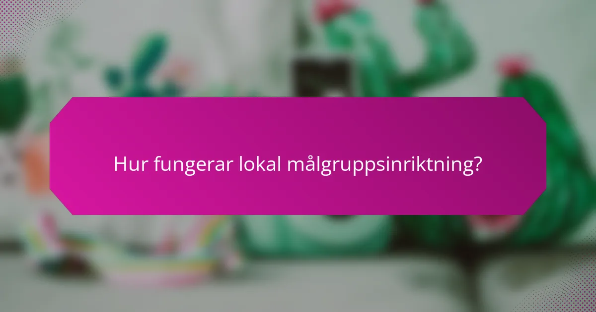 Hur fungerar lokal målgruppsinriktning?