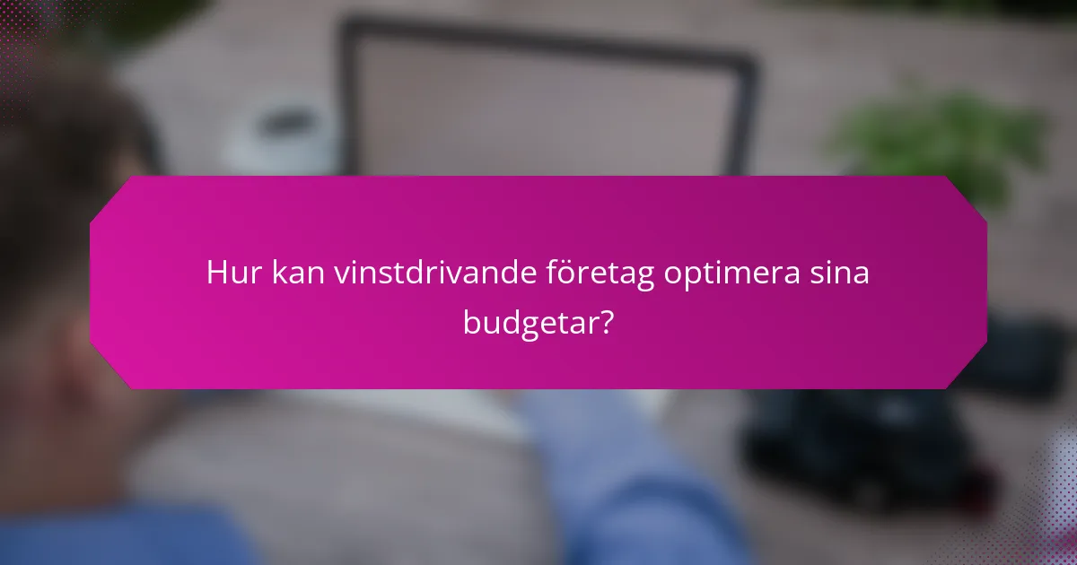 Hur kan vinstdrivande företag optimera sina budgetar?