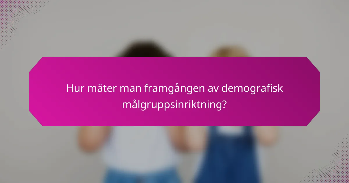 Hur mäter man framgången av demografisk målgruppsinriktning?
