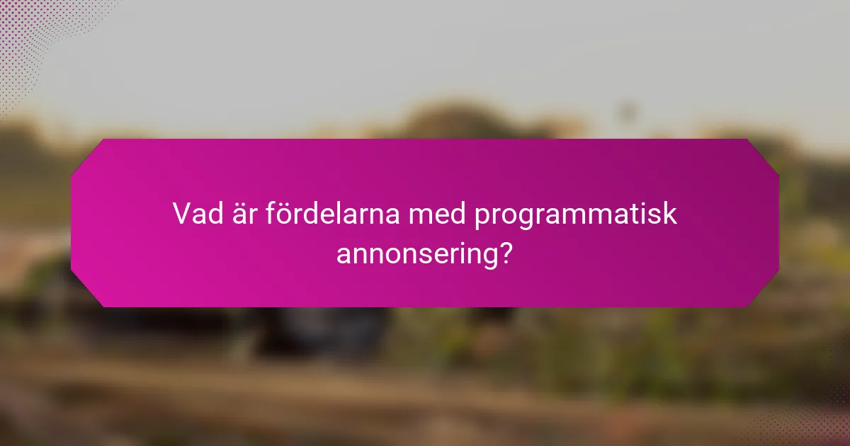 Vad är fördelarna med programmatisk annonsering?