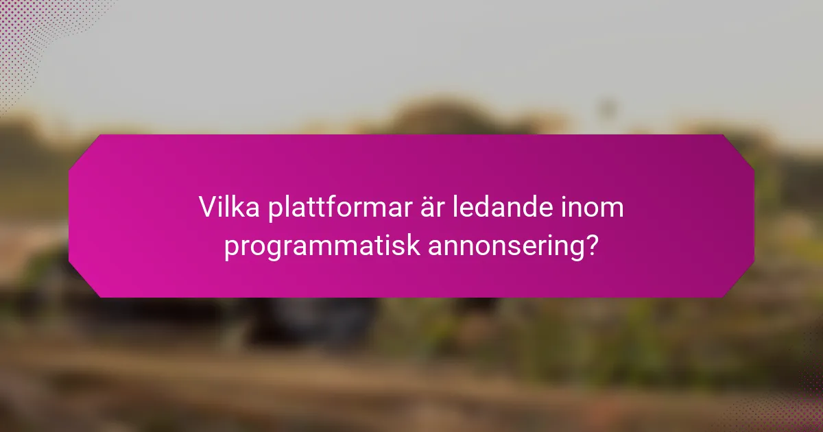 Vilka plattformar är ledande inom programmatisk annonsering?