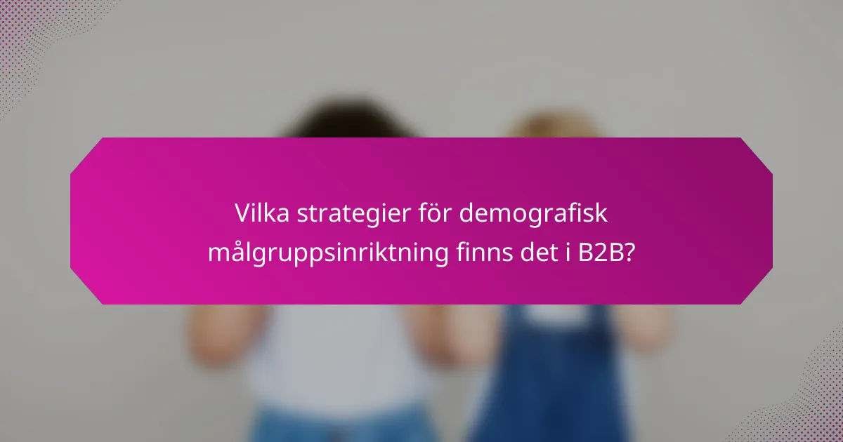 Vilka strategier för demografisk målgruppsinriktning finns det i B2B?