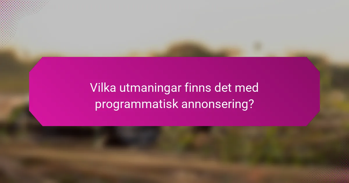 Vilka utmaningar finns det med programmatisk annonsering?