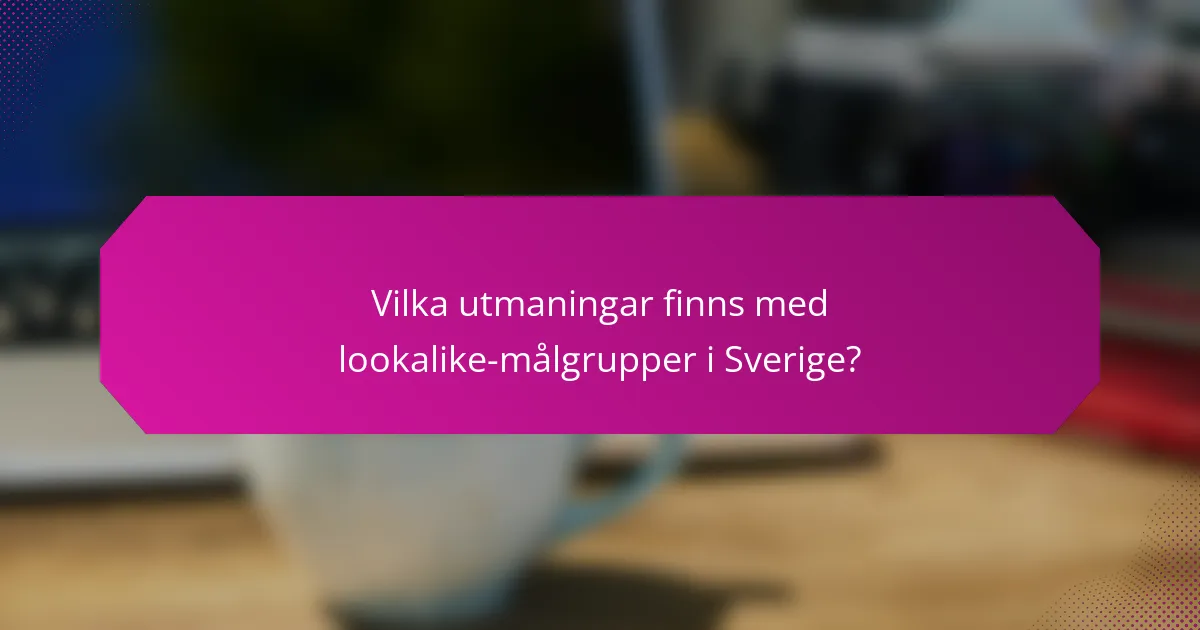 Vilka utmaningar finns med lookalike-målgrupper i Sverige?